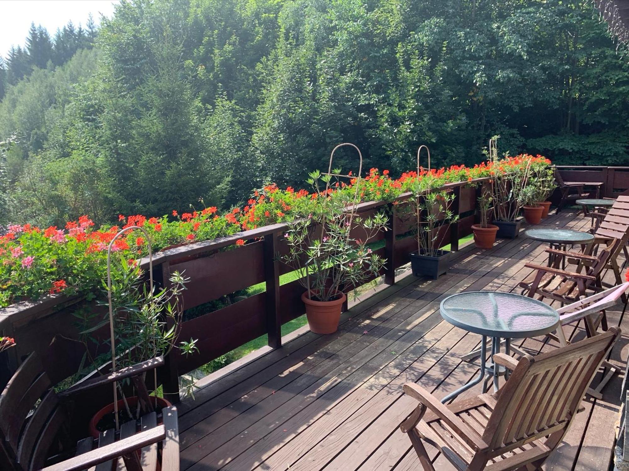 Agropajda Villa Соколец Екстериор снимка